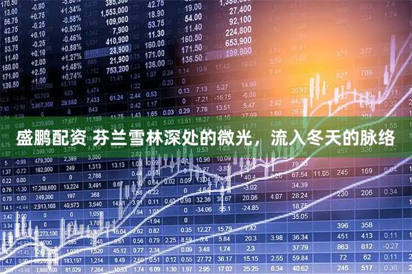 盛鹏配资 芬兰雪林深处的微光，流入冬天的脉络